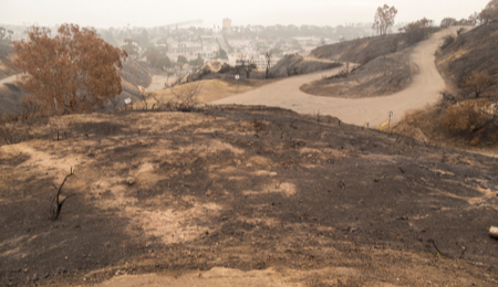 Burned landscape following a wildfire, with blackened grass and scorched vegetation visible across the park area.
