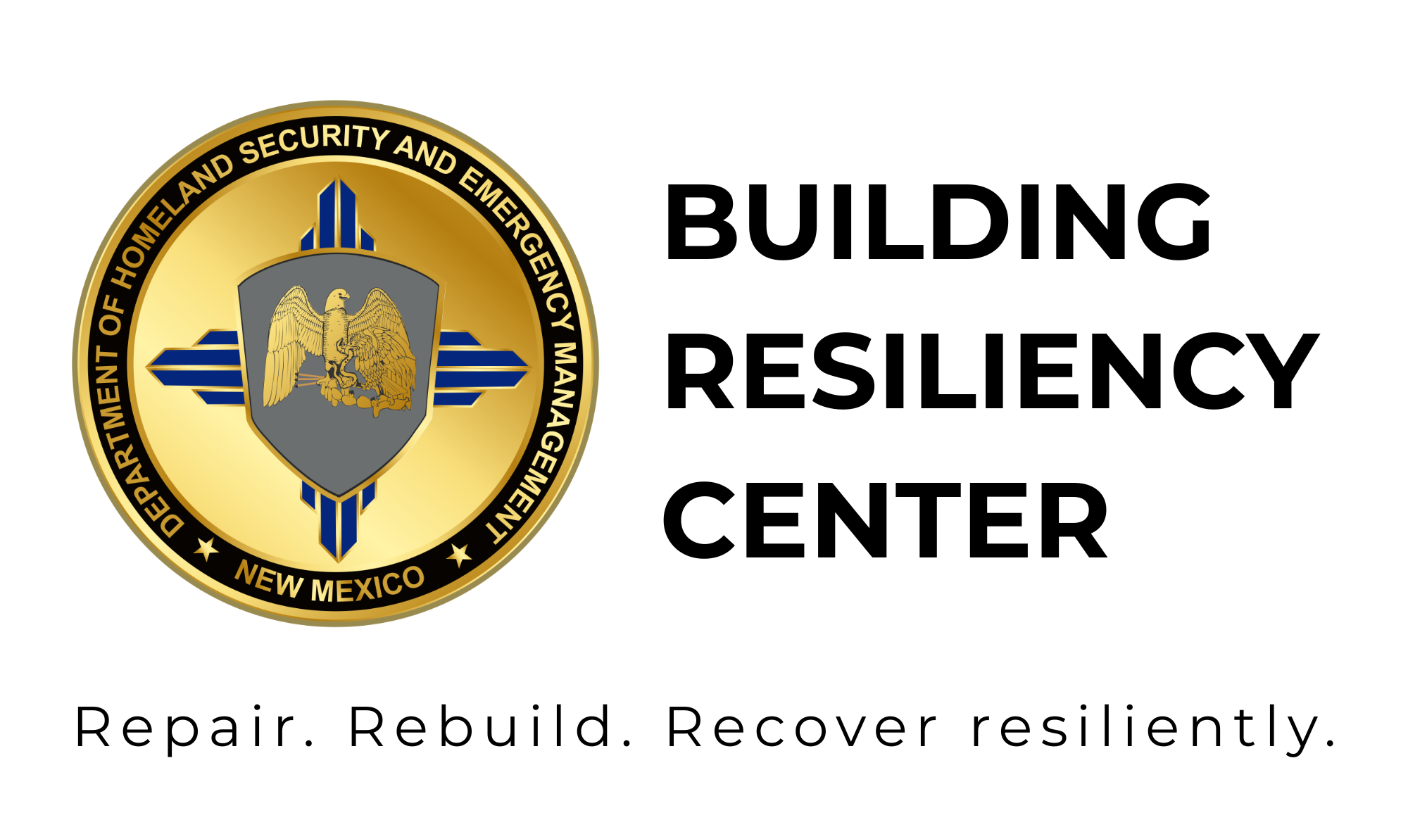 DHSEM Logo with text that reads Building Resiliency Center. Repair. Rebuild. Recover Resiently.